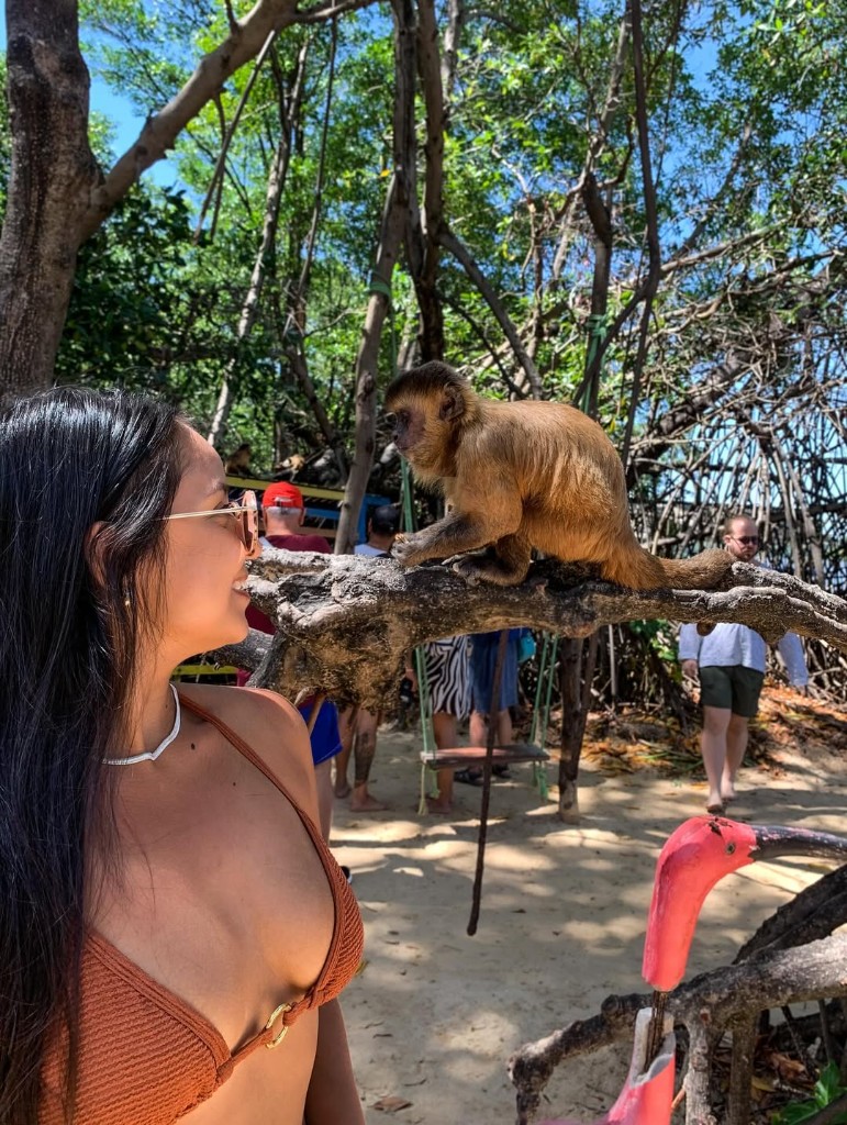 Casal posando com macaco na vegetação do passeio
