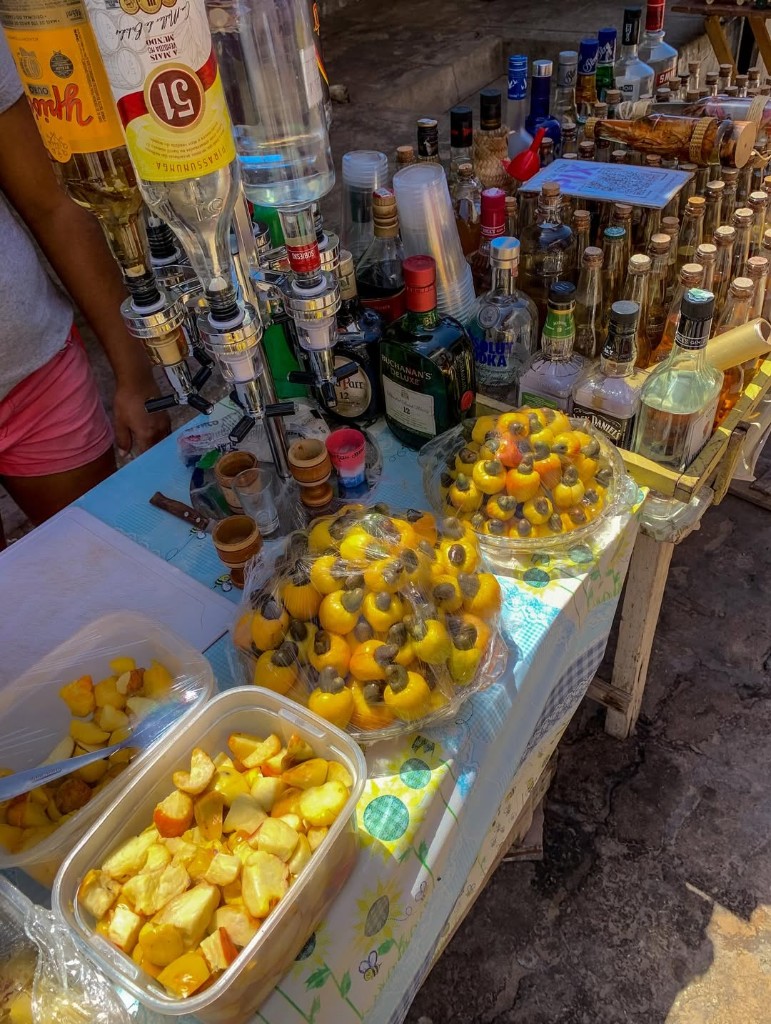 Turista e macaco-prego em galho em área de mangue