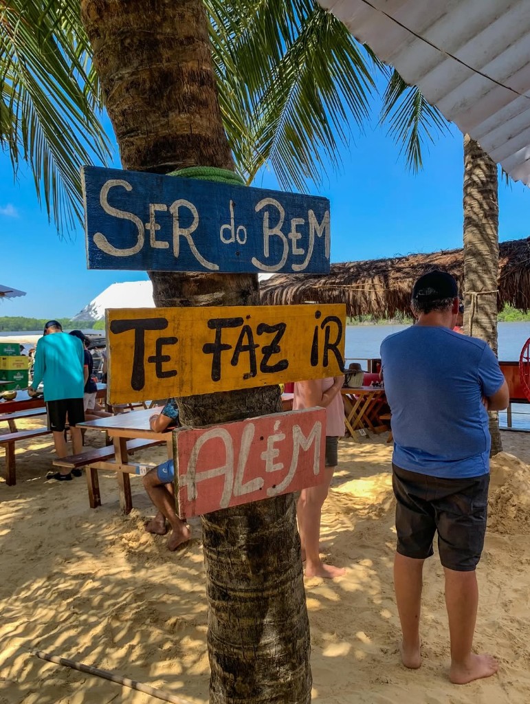 Macaco-prego em galho com turistas ao redor na trilha